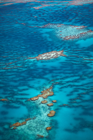 Barrier reef colours