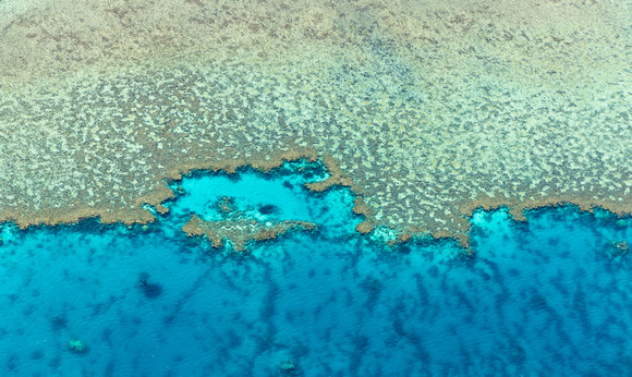 Coral Reef edge