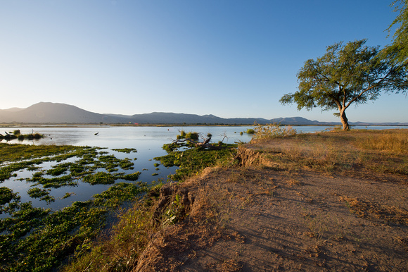 Zambezi River 4