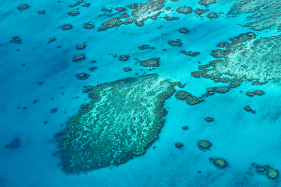 Whitsunday Reef