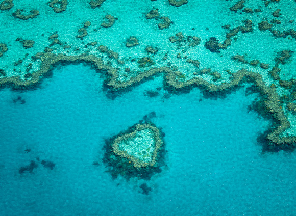 The heart of the reef