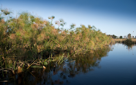 Okavango delta 2