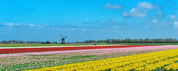 the netherlands.