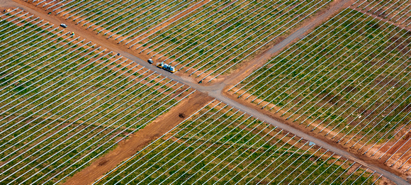 Irrigation crops in NSW
